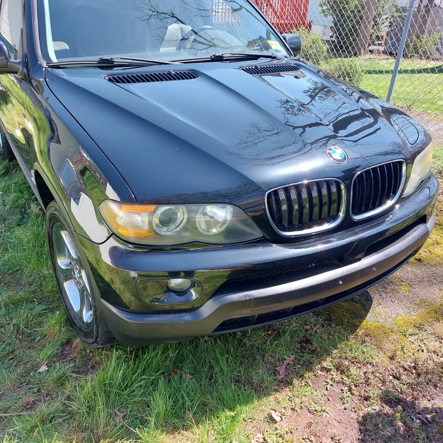 The Touch Up for Cars